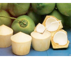 Fresh Young Coconut From Viet Nam