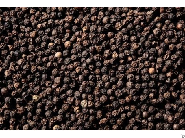 Black Pepper
