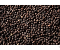 Black Pepper