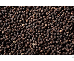 Black Pepper