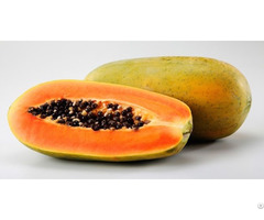 Fresh Papaya