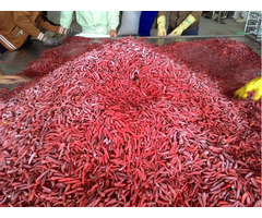 Frozen Chili