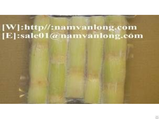 Frozen Sugarcane From Viet Nam