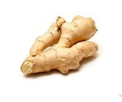 Fresh Ginger From Viet Nam