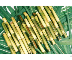 Sugarcane From Cuulong Delta