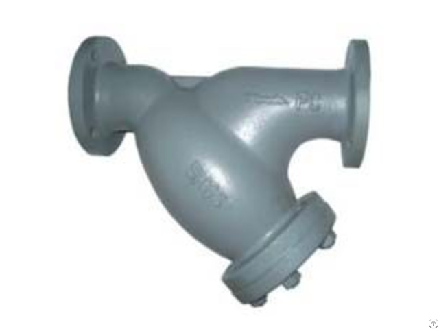 Y Strainer