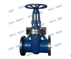 Stainless Steel Gate Valve