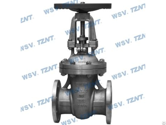 Super Austenitic Gate Valve