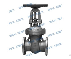 Super Austenitic Gate Valve