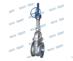 Alloy 20 Gate Valve