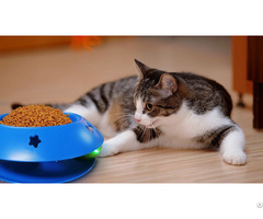 Rolling Ball Cat Bowl