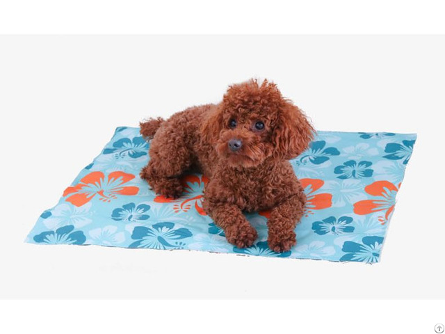 Pet Supplies Products Cooling Mat Cushion From Chinese Factory