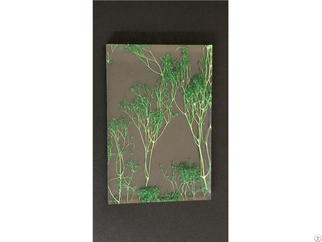 Multifunctional Acrylic Art Board Lansin F1