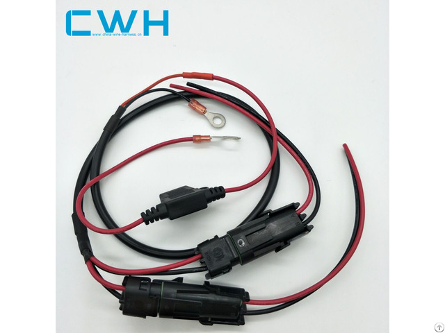 Cwh Customized Part Auto Engine Wire Harness Cable Assembly