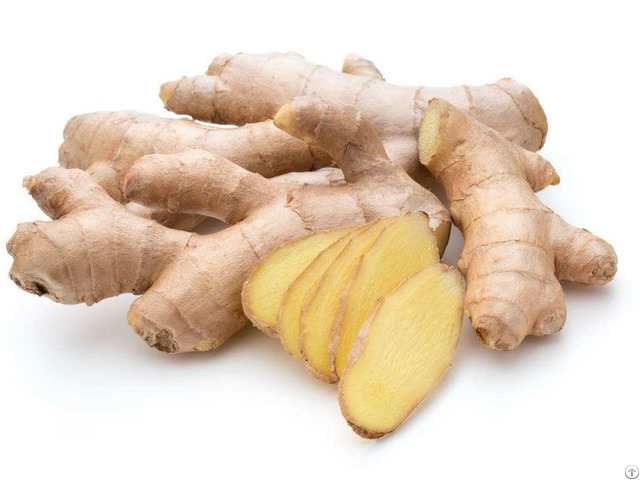 Ginger Extract Granules