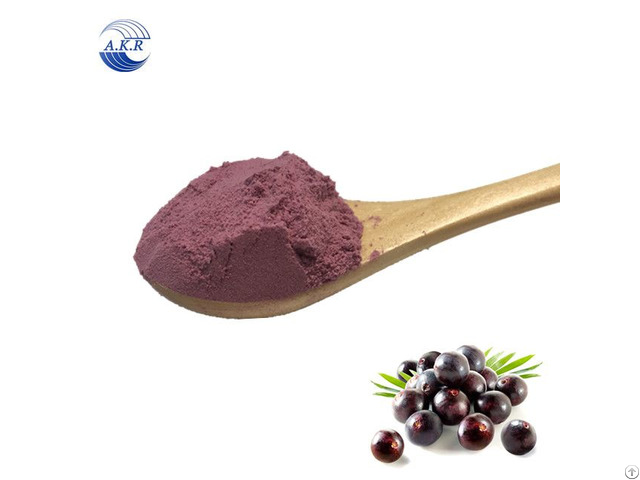 New Product Fresh Acai Berry Powder