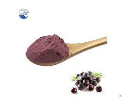 New Product Fresh Acai Berry Powder