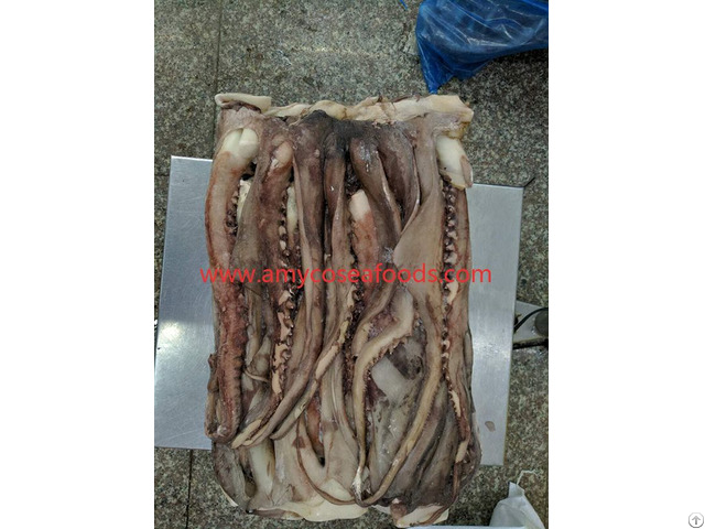 Frozen Squid Tentacles Origin China