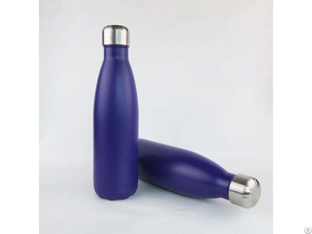 17oz Stainless Steel Swell Insulated Water Bottle