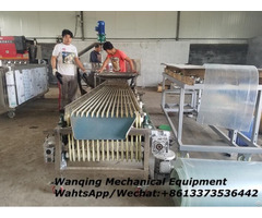 Apricot Sorting Machine Original Stock