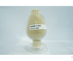 Lipase Lp 2000