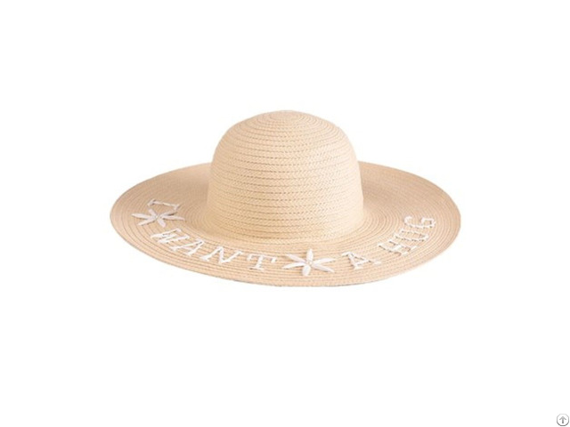 Embroidered Paper Braid Floppy Hat