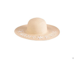 Embroidered Paper Braid Floppy Hat