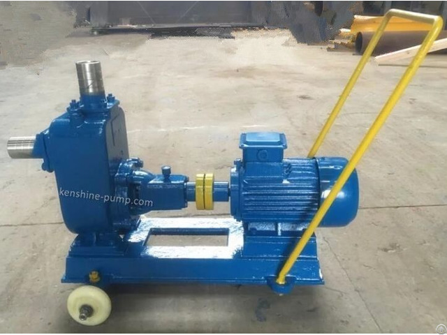 Zw Self Priming Sewage Drainage Pump