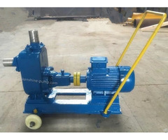 Zw Self Priming Sewage Drainage Pump