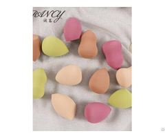 Beauty Face Blender Sponge