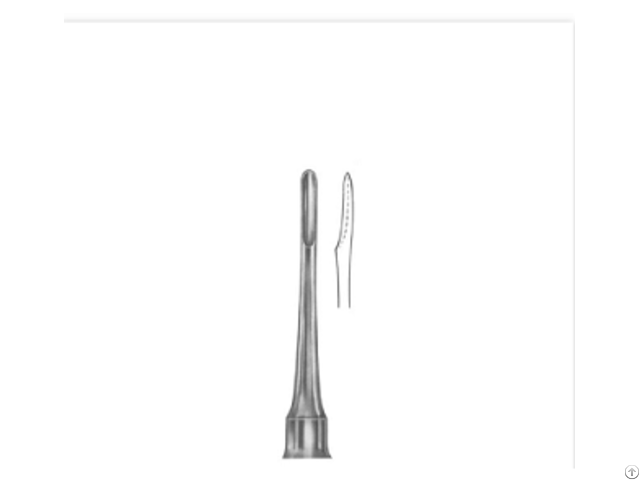 Dental Root Elevator Bein