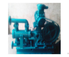 Wb Wbr Electric Reciprocating Pump