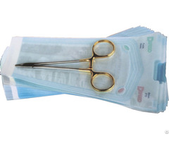 Regular Self Sealing Flat Pouch