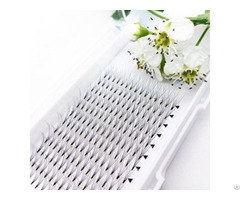 Sale 5d 0 07mm 12 Rows Volume Fan Eyelash Extensions