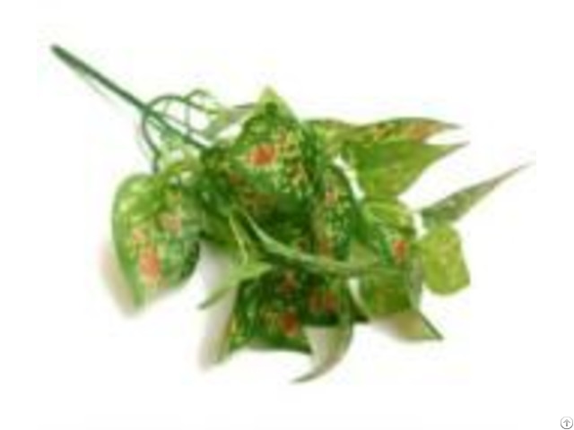 Realistic Feeling Beautiful Bunting Leaves