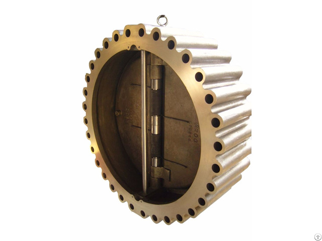 Wafer Check Valve