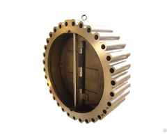 Wafer Check Valve
