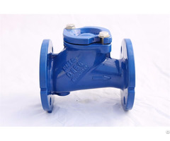 Cast Iron Check Valve