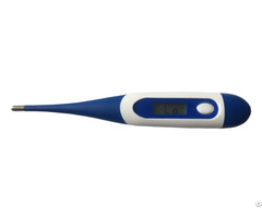 Premium Digital Thermometer