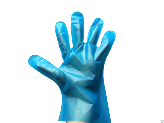 Synthetic Silky Exam Blue Powdered Free