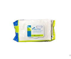 Flushable Wipes 20x28cm 50gsm Aloe Soft Pack W Flip Top Lid