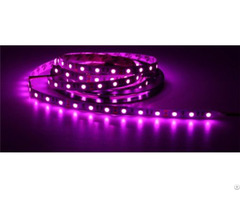 China High Quality Wedding Bar Ktv Decoration 5050led Pink Light Strip