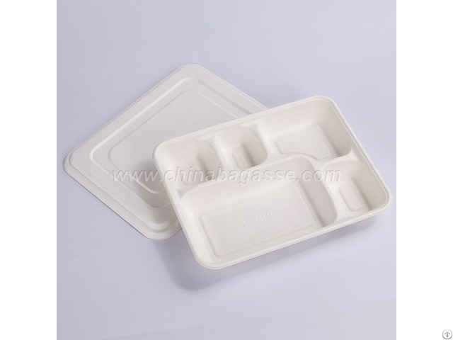 Sugarcane Lid For 5 Compartment Deep Tray