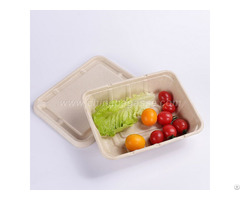 1200ml 2com Rectangle Sugarcane Container