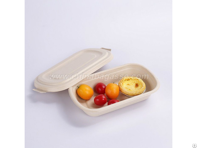 Eco Friendly 750ml Disposable Bagasse Container