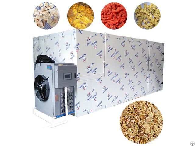 Industrial Mango Blueberry Red Dates Jujube Small Fruit Drying Machine
